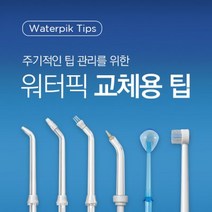 워터픽 100K 120K 450K 900K 제트팁, 치열교정팁(호환가능/70K제외), 1개