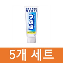 일본 소금치약 5개세트