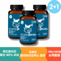 콘드로이틴 콘도로이틴 콘드로이친 글루코사민 효능 3박스