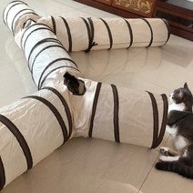 발라당 고양이 바스락 캣터널, 1개, Y-type