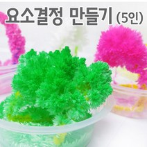 모세관현상 요소결정 만들기 실험키트 5인 과학수업