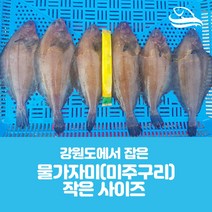 국내산-급냉 물가자미(미주구리) 식해용 작은사이즈20미 원물_2개 이상 구매 시 사은품 증정