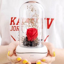 나만의 디퓨저 장미 유리돔무드등 프리저브드 플라워 영생화 향훈등 선물 입학졸업 여친 생일 수능합격, 유리돔무드등 레드로즈