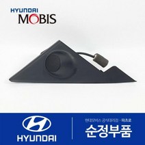 프론트 도어 쿼드런트 내측 커버(백미러 스피커쪽 커버) 우 (876603K510) 쏘나타NF 현대모비스부품몰