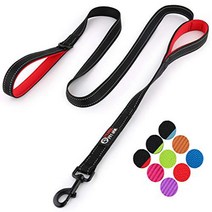 Primal Pet Gear Dog Leash 6ft Long - Traffic Padded Two Handle - Heavy Duty - Double Handles Lead fo, 상세참조, Black