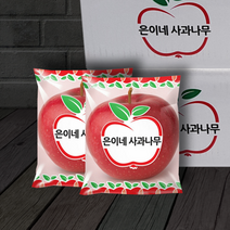 1+1 은이네사과나무 세척사과 총4~8kg, 세척사과 4+4kg