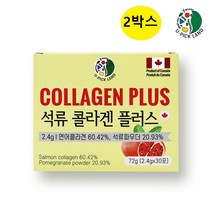 캐나다 유픽랜드 터키 석류콜라겐 흡수률높은 저분자피쉬콜라겐 히알루론산 엘라스틴 비타민C 피부수분장벽 보습 주름 프락토올리고당, 2