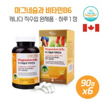 체력이 떨어진 분들 마그네슘과 비타민 B6 1 200mg90정X6개 결정셀룰로스 산화마그네슘 비타민B630mg 캐나다직수입, 본문참고, 체력이 떨어진 분들 마그네슘과 비타민 B6 1,200m, 본문참고