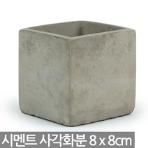 (한정수량) 시멘트 사각 화분 소형 - 화분 중형 다육이 선인장 빈티지 인테리어 실내 분갈이 레트로 복고풍 식물, Sein_시멘트사각화분(소)