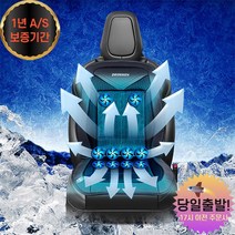 더쎈 차량용 뉴10팬 송풍시트 통풍시트 쿨시트 커버 바람방석 매트, 뉴10팬쿨링시트24v+220v어댑터