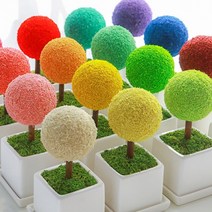 실내 공기정화 나무 가습식물 이끼화분 20 color, 19.퍼플