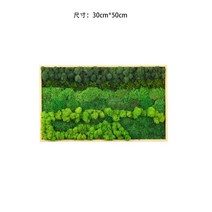 50cm 이끼 테라리움 벽걸이 장식 액자 실내조경 모스, 백발 만년이끼 액자 (30cm50cm)
