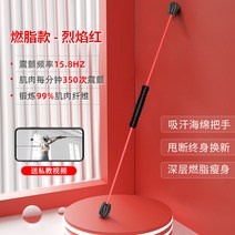 텐션짱 뚜레쥬르다 펠릭스 헬스 피트니스 많다 기능 운동 트레이닝 봉 필리스 근육 엘보링 지방 연소 4026709697, 지방 연소 타입 레드 (오버클럭 했다