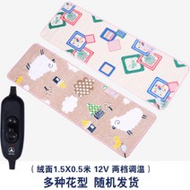 DC 12V 24V 온열 담요 워셔블 빨아쓰는 구들장 캠핑 장판 차박 쇼파 차량용 발열 전기요