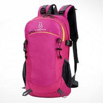 디지티 FLAMEHORSE 등산 백팩, 핑크