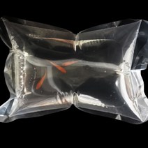 달자샵 10+10 물고기 안전운송 충격방지 비닐어항 세트 열대어 판매 선물 다용도 두꺼운 비닐, 1세트(10P)+1세트(10P)