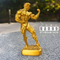 보디빌딩 피트니스 우승 피규어감사패 상패 헬스트로피 실버 상폐 기념품, 밝은 회색
