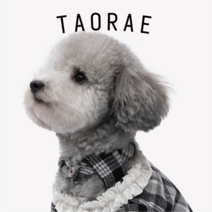 강아지 비옷 우산 대형견 우비 다이소 애견 TAORAE 중소형견 스커트 홀터넥 울 서스펜더 테디 비숑 요크셔 포메라니안 슈나우저, [01] 밝은 회색, [04] 예