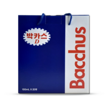 동아제약 박카스 D, 20개+손잡이 선물박스