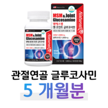관절엔 MSM 조인트 글루코사민 그루코사민 엠에스엠 매일 프리미엄 캡슐 우리 무릎 관절 연골 건강 도움 튼튼 솔루션 홈쇼핑 영양제 성분 효능 바이탈 밸런스 360 비교 100 년, 5통, 1800mg x 60정 (하루 2정)
