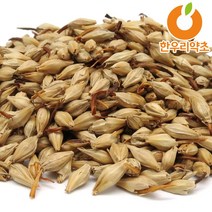 보리 맥아 600g 저온볶음 볶은 먹는법 효능, 맥아600g