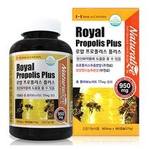 캐나다 로얄프로폴리스플러스180캡슐 로얄젤리농축분말 로얄젤리 로얄제리농축분말 대두유 대두레시틴 플라보노이드 캐나다직수입 항산화기능에도움, 1개