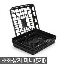 초화상자 대형 5개 - 모종 트레이 육묘상자 화분 포트상자 포트운반 모종운반 삽목상자 초화박스 육모박스 이색포트 연결구 연결포트, 01_세인_초화상자(미니) X 5개