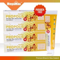 메가맥스 뉴질랜드 프로폴리스 치약 160g x 12개 _ 677349EA, 1, 본상품선택