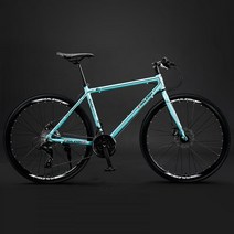 영국 RALEIGH 자이언트 mtb 다혼스피드D9 제트스트림 사바파이크 k3 팻바이크 티티카카 산악, 단일사이즈, 알루미늄 24단7