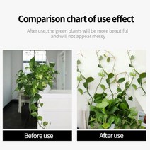 식물 등반 벽 자체 접착 고정 버클 후크 패스너 장치 포도 나무 정원, 40pcs_medium-sized green