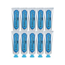 덴티본조르노 치석치약 100g 10개