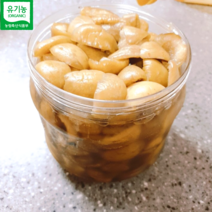 유기농 반찬 매실장아찌 광양 백운산 청매실 1kg