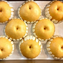 [GAP인증] 배 신고 나주 햇배 특품 가정용 설 명절 과일 선물 세트 프리미엄, 가정용 햇배(8-10과) 5kg