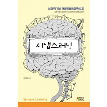 시냅스러닝:뇌과학 기반 개별맞춤형교육(ICE), 박영스토리, 손종호