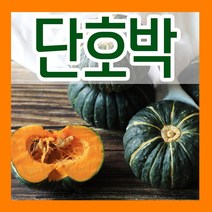 수박씨앗 참외 멜론 박씨 애호박 쥬키니호박 조선호박 단호박 밤호박 맷돌호박 땅콩호박 슈퍼호박 미국호박 수세미 동과 조롱박 텃밭 파종 종자 재배 모음, 7.단호박씨 30립