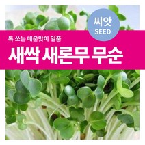 마이플랜트 새싹 새론무 무순 씨앗, 30g, 1개