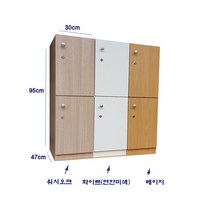 sy가구 개인사물함2인용 사물함 라카 보관함 개인수납장 완제품, 베이지B형
