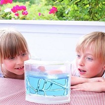 [더이픽] 관찰력 탐구심향상 무독성 개미집 관찰 키트 어린이안전인증 (2단형) KA-A11377, KA-개미집관찰-2단형