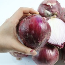 [팔도농장] 무안 자색양파 (대특혼합)3kg, 단품