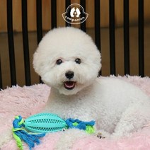 컴패니언 스케일링 볼 타원형