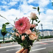 계절 꽃 생화 세트 4~6송이 꽃다발 농장직송 꽃배달싼곳 정기구독