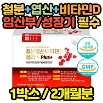 기능성 철분제 엽산 비타민D 혈액생성 영양제 60캡슐 1통 장모님 선물 할머니 할아버지 노인 임신부 준비