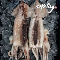 신선해어 오징어 원물 (냉동), 2kg, 1팩