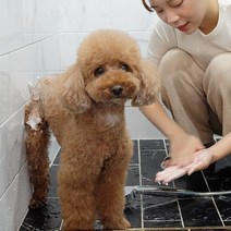 강아지워터린스 애견샴푸 스파후레쉬 천연향수 강아지린스 9종, 05.너리쉬 비타민 컨디셔너