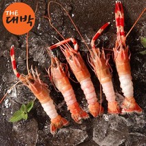 자연산 딱새우 500g 제주 선동 딱새우회, 딱새우(급냉) 500g