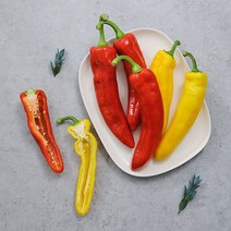 자연맛남 [자연맛남] 김제 프리미엄 트리벨리 파프리카 1.5kg