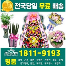 임신축하꽃다발주문제작 저렴한꽃주문 꽃다발저렴한곳 부케주문 부케주문제작 저렴한부케 작약꽃다발 생일꽃바구니제작 집들이화분추천 꽃업식꽃다발추천 임신축하꽃다발추천, 2.근조3단