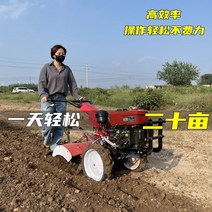 밭가는 기계 텃밭 관리기 밭갈이 로터리 전기 풀제거 흙갈이 농업용 경작기 밭관리기 농기구 밭 밭 마이크로 경운기 다기능 사륜구동 회전식 경운기 디젤 경운기 쟁기 소형 경운기, 170 벨트 가솔린 디퍼렌셜 스티어링
