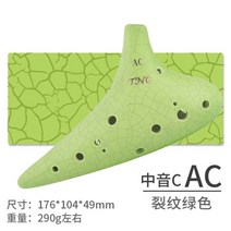 청오카리나 오카리나 가격 배우기Ocarina TNG 12 홀 알토 C 소프라노 F G, 알토 C 그린