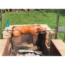 통돼지바베큐 기계 구이기 통구이 숯불 통닭 대형, 모터 15w 단품, 1개